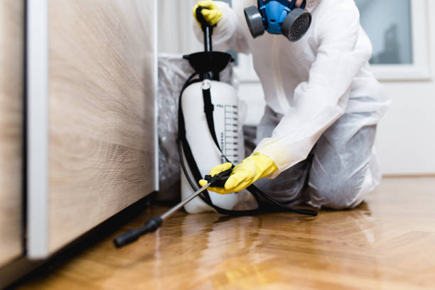 Best Ant Control Services  in Wallace, ID