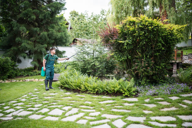 Best Pest Inspection Near Me  in Wallace, ID
