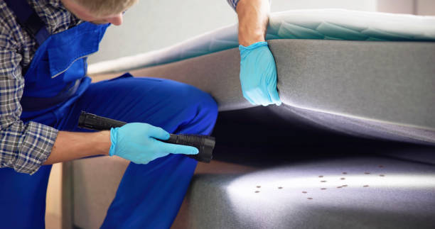 Best Wasp Removal Services  in Wallace, ID