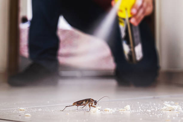 Best Emergency Pest Control  in Wallace, ID